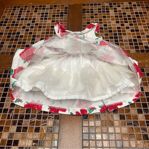 Janie and Jack Holiday Party Rose Dress - Picture 5 of 9